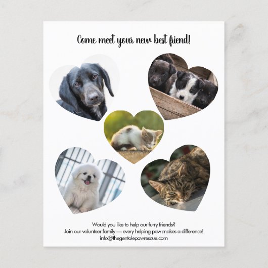 Pet Adoption Bake Sale Fundraiser Flyer (Achterkant)