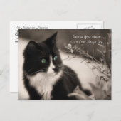 Pet Adoption redt je hart en neemt een kat aan Briefkaart (Voorkant / Achterkant)