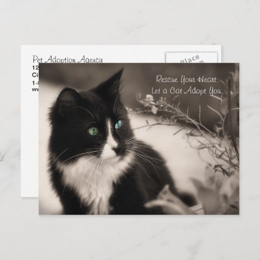 Pet Adoption redt je hart en neemt een kat aan Briefkaart (Voorkant / Achterkant)