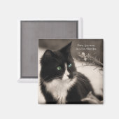 Pet Adoption redt je hart en neemt een kat aan Magneet (Voorkant / Achterkant)