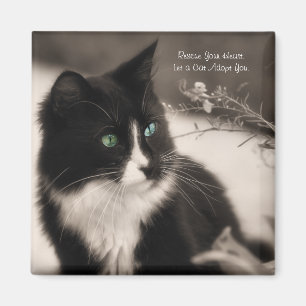 Pet Adoption redt je hart en neemt een kat aan Magneet