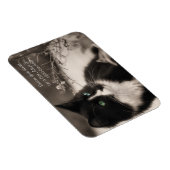 Pet Adoption redt je hart en neemt een kat aan Magneet (Rechterzijde)