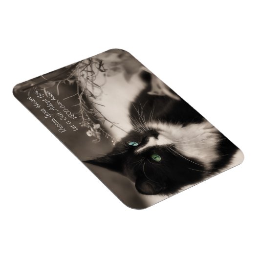 Pet Adoption redt je hart en neemt een kat aan Magneet (Rechterzijde)