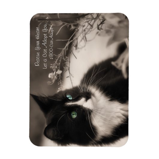 Pet Adoption redt je hart en neemt een kat aan Magneet (Verticaal)