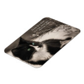 Pet Adoption redt je hart en neemt een kat aan Magneet (Linkerzijde)