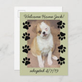 Pet Adoption Sla de datumfoto op met Paw-afdrukken Aankondigingskaart (Voorkant / Achterkant)