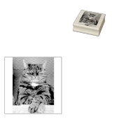 PET Afbeelding Rubber Stamp Rubberstempel (Gestempeld)