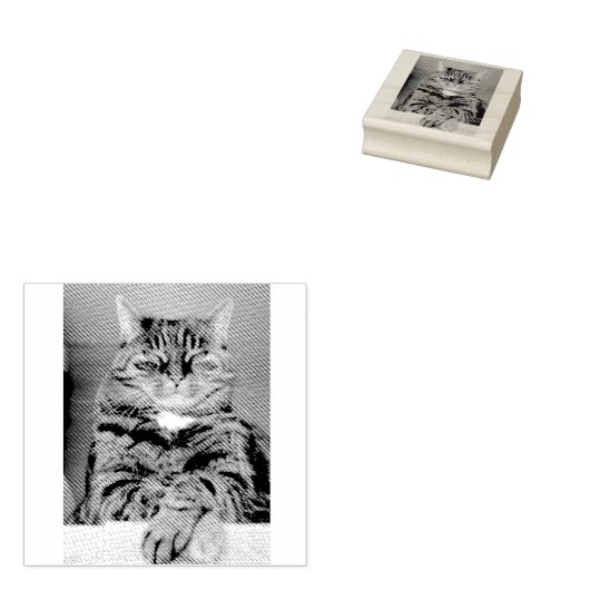 PET Afbeelding Rubber Stamp Rubberstempel (Gestempeld)