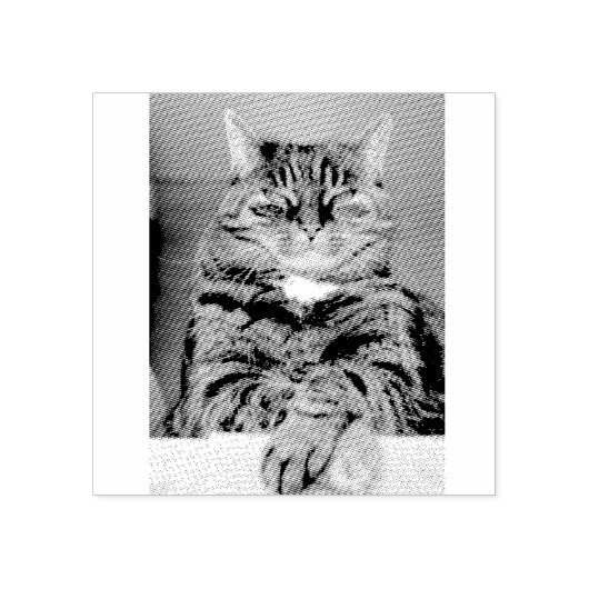 PET Afbeelding Rubber Stamp Rubberstempel (Afrduk)