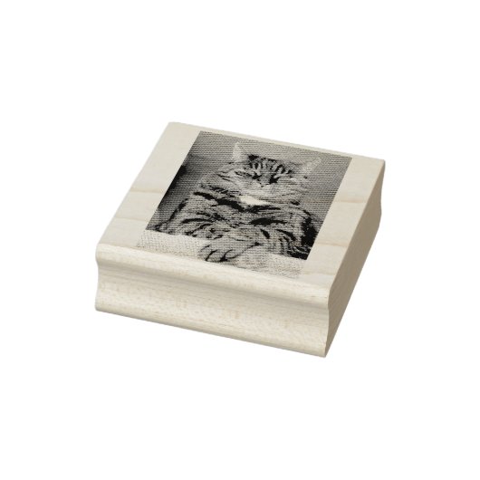PET Afbeelding Rubber Stamp Rubberstempel (Stempel)