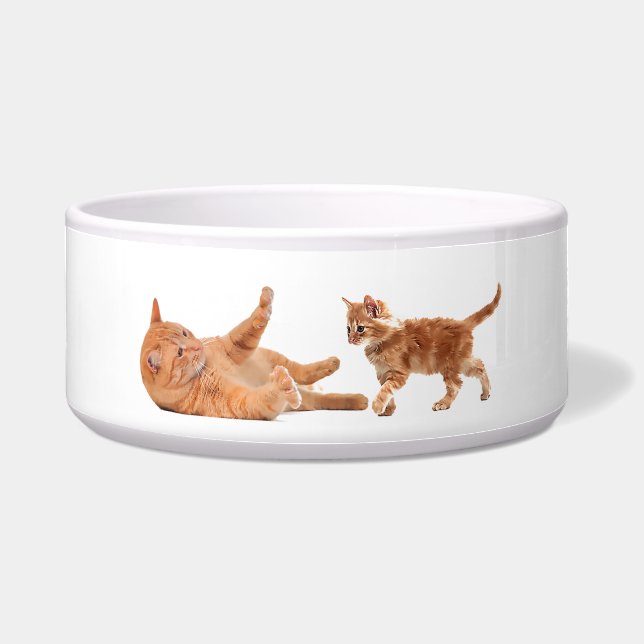 Pet-afbeelding voor Large-Pet-Bowl Voerbakje (Voorkant)