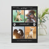 Pet Announcement Fur Baby Modern Foto Collage Aankondiging (Staand voorkant)
