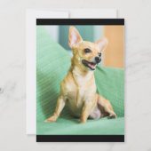 Pet Announcement Fur Baby Modern Foto Collage Aankondiging (Achterkant)