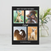 Pet Announement Fur Baby Foto Collage Aankondiging (Staand voorkant)