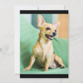 Pet Announement Fur Baby Foto Collage Aankondiging (Achterkant)