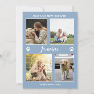 Pet Announement New Fur Baby Photo Dusty Blue Aankondiging