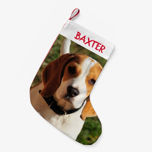 Pet Beagle Dog Foto gepersonaliseerd Kleine Kerstsok (Voorkant (Hangend))