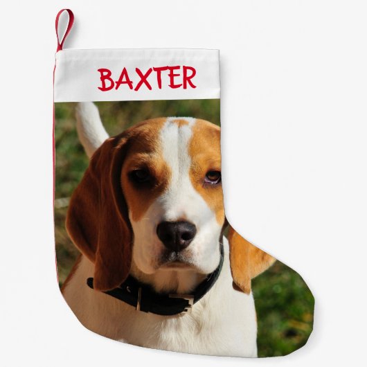 Pet Beagle Dog Foto gepersonaliseerd Kleine Kerstsok (Voorkant)