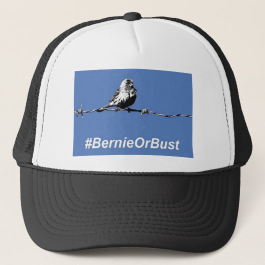 Pet Bernie of Bust (Voorkant)