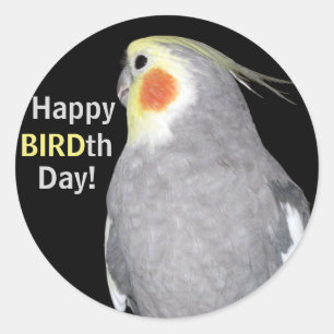 Pet Bird Cockatiel Foto Happy BIRD Day Birthday Ronde Sticker