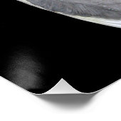 Pet Bird Cockatiel Foto Poster (Hoek)