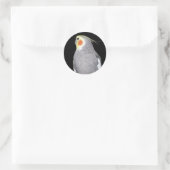Pet Bird Cockatiel Foto Ronde Sticker (Tas)