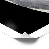 Pet Bird Cockatiel Fotografie Perfect Poster (Hoek)