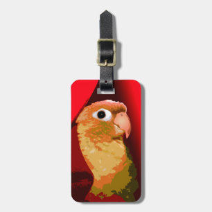 Pet Bird Green Cheek Conure Parakeet Owner Parrot Bagagelabel