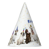 Pet Birthday Dog Party | Blauw Feesthoedjes (Links)