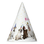 Pet Birthday Dog Party | Roze Feesthoedjes (Links)