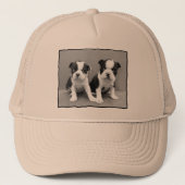 Pet Boston Terrier (Voorkant)