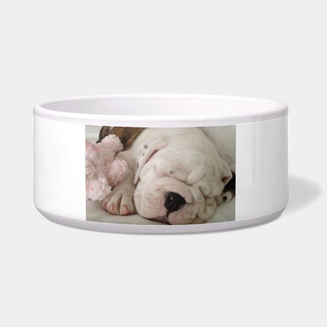 Pet Bowl Bulldog Puppy Slapen Voerbakje (Voorkant)