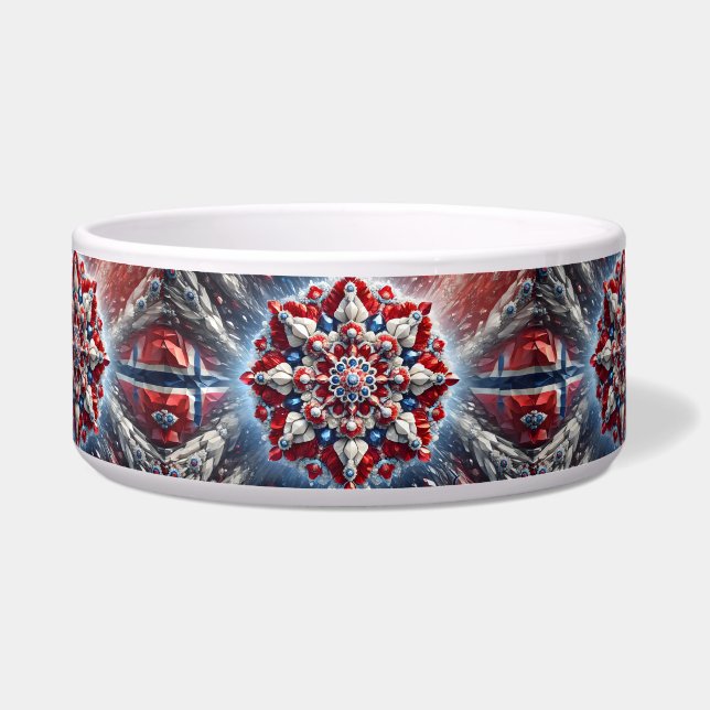 Pet Bowl met Noorwegen Kleuren Abstract Ontwerp Voerbakje (Voorkant)