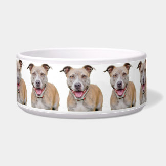 Pet Bowl/Pitbull Voerbakje