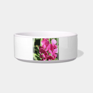 Pet Bowl. Voerbakje