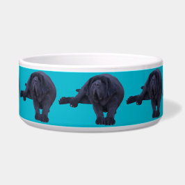 Pet Bowl voor een groter Hondenras Voerbakje