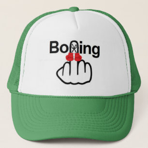 Pet Boxing Flip