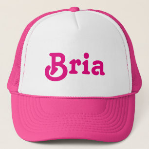 Pet Bria