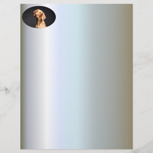 Pet Brown Beagle Dog (Voorkant)