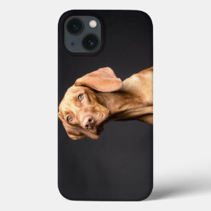 Pet Brown Beagle Dog Case-Mate iPhone Case