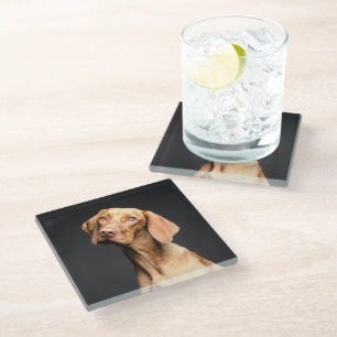 Pet Brown Beagle Dog Glazen Onderzetter