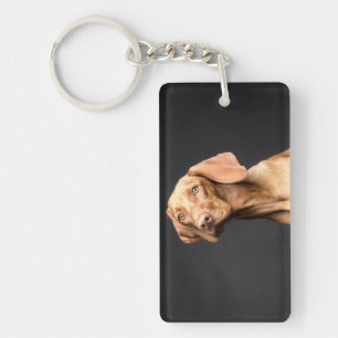 Pet Brown Beagle Dog Sleutelhanger