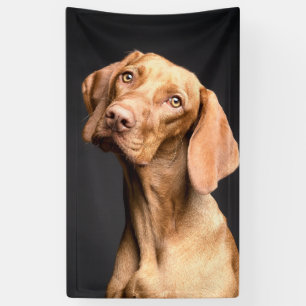 Pet Brown Beagle Dog Spandoek