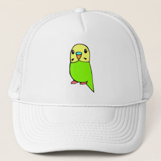 Pet Budgie