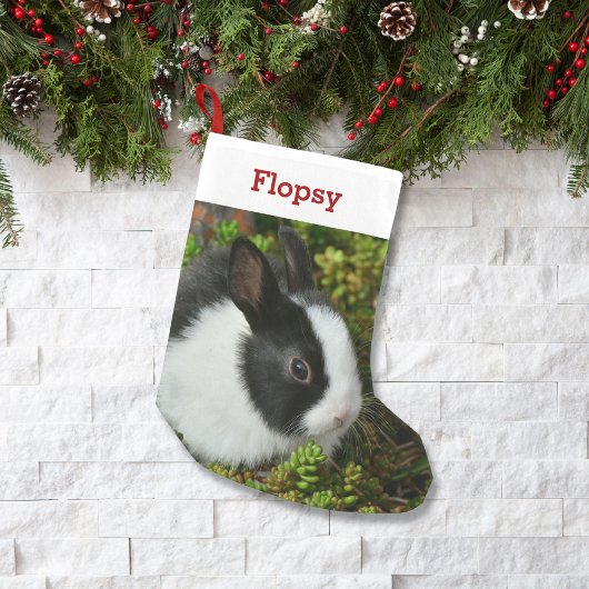 Pet Bunny Lover Konijn Foto en Naam Gepersonalisee Kleine Kerstsok