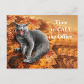 Pet Business Cat Aanstelling Herinnering Briefkaar Briefkaart (Voorkant)