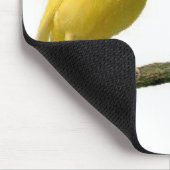 Pet Canary Bird Merchandise Muismat (Hoek)