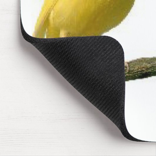 Pet Canary Bird Merchandise Muismat (Hoek)