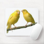 Pet Canary Bird Merchandise Muismat (Met muis)