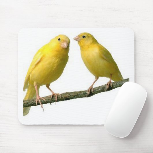 Pet Canary Bird Merchandise Muismat (Met muis)